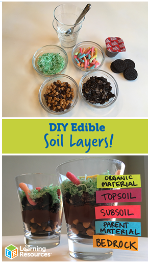 Picture of DIY Edible Soil ingredients and example