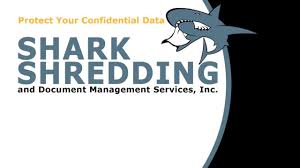 Company logo with shark and blue lettering