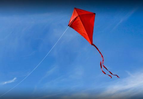 Red kite, gliding in the wind.