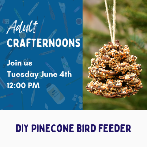 Adult Crafternoons: DIY Pinecone Bird Feeder