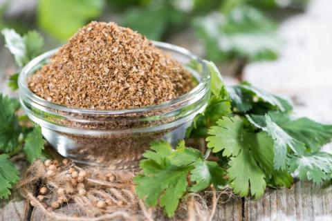 Ground coriander in a glass dish with coriander leaves