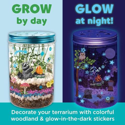 Picture of terrarium with glow in the dark terrarium side by side