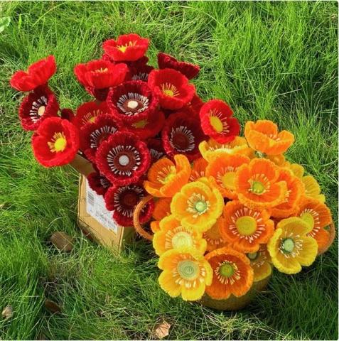 Red and yellow poppy flowers