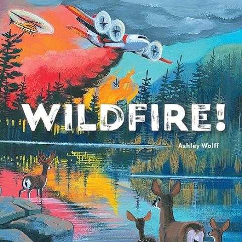 Picture of the book "Wildfire!"