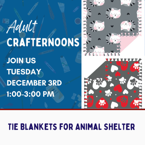 Adult Crafternoon: Tie Blankets for Animal Shelter. Join us Tuesday December 3rd 1-3pm