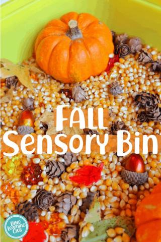 bin of pumpkins and pinecones