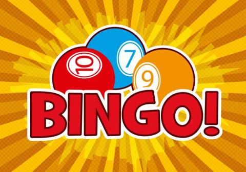 An image of a logo for Bingo.