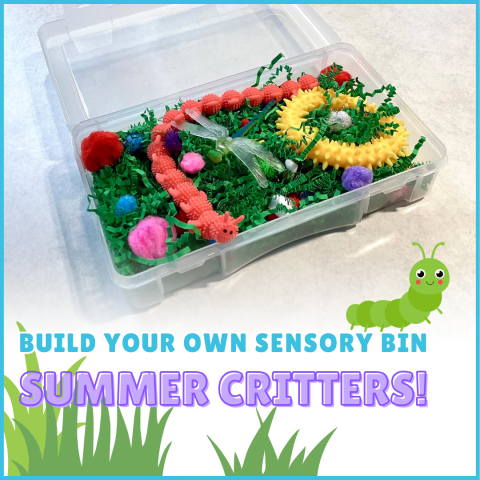 Build Your Own Sensory Bin - Summer Critters