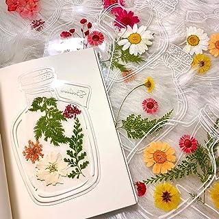 Dried Flower Bookmark