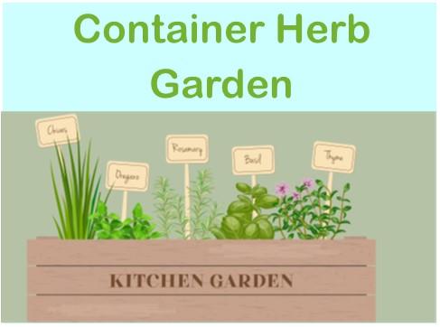 Picture of container garden with herbs