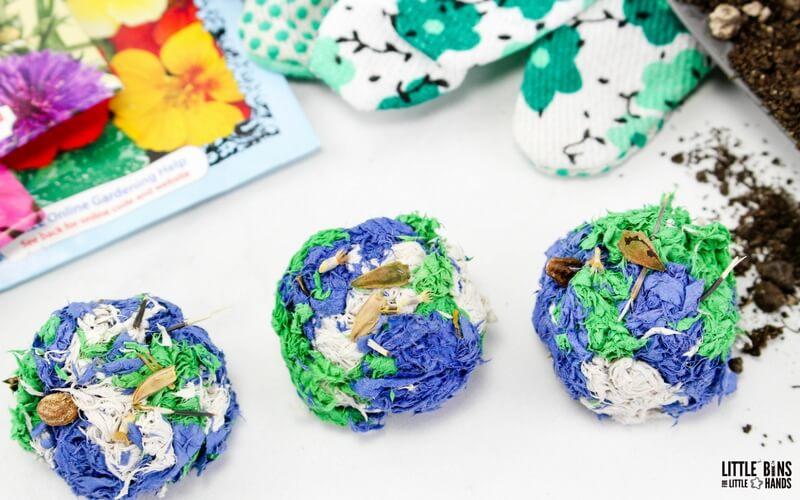 Picture of shredded blue and green paper and wildflower seeds to make a seed bomb to plant