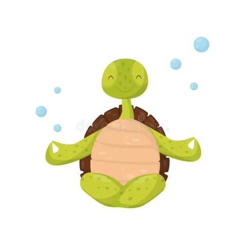 picture of meditating turtle
